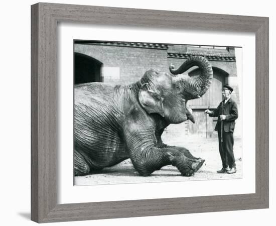 Female Indian Elephant 'Suffa Culli'-Frederick William Bond-Framed Photographic Print