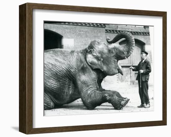 Female Indian Elephant 'Suffa Culli'-Frederick William Bond-Framed Photographic Print