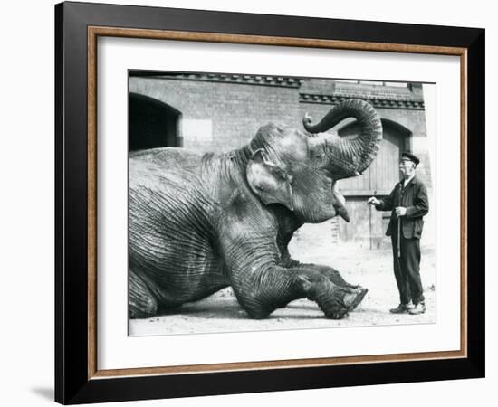 Female Indian Elephant 'Suffa Culli'-Frederick William Bond-Framed Photographic Print