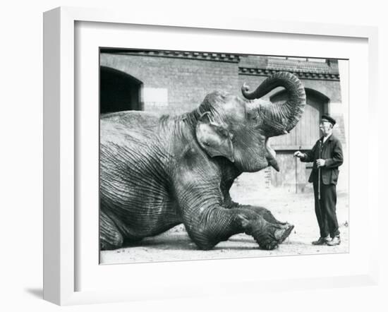 Female Indian Elephant 'Suffa Culli'-Frederick William Bond-Framed Photographic Print