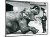 Female Indian Elephant 'Suffa Culli'-Frederick William Bond-Mounted Photographic Print