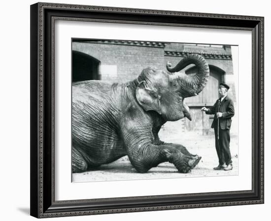 Female Indian Elephant 'Suffa Culli'-Frederick William Bond-Framed Photographic Print