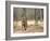 Female Indian Tiger (Bengal Tiger) (Panthera Tigris Tigris), Bandhavgarh National Park, India-Thorsten Milse-Framed Photographic Print