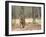 Female Indian Tiger (Bengal Tiger) (Panthera Tigris Tigris), Bandhavgarh National Park, India-Thorsten Milse-Framed Photographic Print