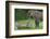 Female Jaguar (Panthera Onca) Playing With Her Cub, Captive, Occurs In Southern And Central America-Edwin Giesbers-Framed Photographic Print