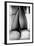 Female Legs in Tights-Rory Garforth-Framed Photographic Print