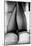 Female Legs in Tights-Rory Garforth-Mounted Photographic Print