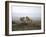 Female Lion, Masai Mara National Reserve, Kenya, East Africa, Africa-Angelo Cavalli-Framed Photographic Print