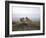 Female Lion, Masai Mara National Reserve, Kenya, East Africa, Africa-Angelo Cavalli-Framed Photographic Print