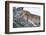 Female Lion Sleeping in Acacia Tree in Jungle, Ngorongoro, Tanzania-James Heupel-Framed Photographic Print