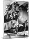 Photographic Print