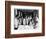 Female Medical Students-null-Framed Photographic Print