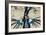 Female Model Wearing Feathers-Luis Beltran-Framed Photographic Print