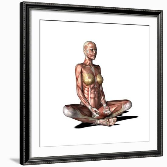 Female Muscles, Artwork-Friedrich Saurer-Framed Photographic Print