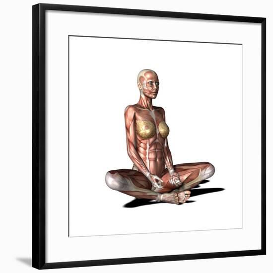 Female Muscles, Artwork-Friedrich Saurer-Framed Photographic Print