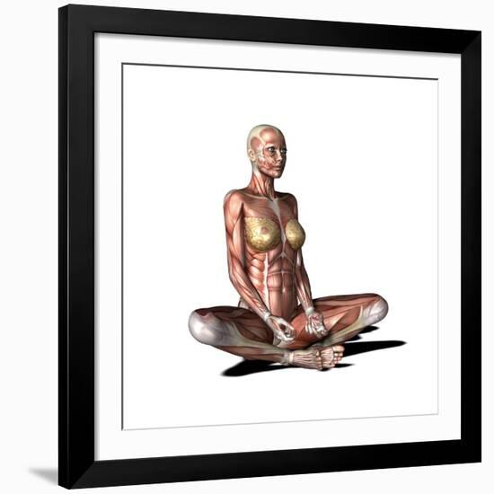 Female Muscles, Artwork-Friedrich Saurer-Framed Photographic Print