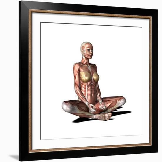 Female Muscles, Artwork-Friedrich Saurer-Framed Photographic Print