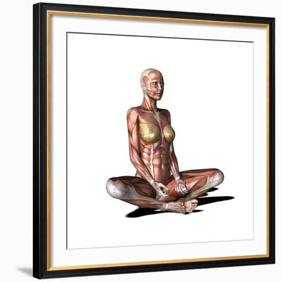 Female Muscles, Artwork-Friedrich Saurer-Framed Photographic Print