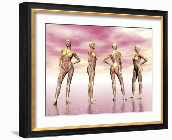 Female Muscular System from Four Points of View-null-Framed Art Print