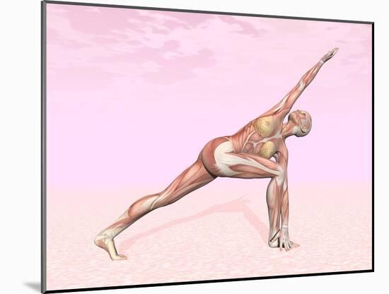 Female Musculature Performing Revolved Side Angle Yoga Pose-null-Mounted Art Print