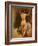 Female Nude Seen from the Back, C.1835-40-William Etty-Framed Giclee Print