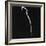 Female Nude Study-Gjon Mili-Framed Photographic Print