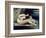 Female Nude with a Dog-Gustave Courbet-Framed Giclee Print