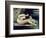 Female Nude with a Dog-Gustave Courbet-Framed Giclee Print