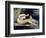 Female Nude with a Dog-Gustave Courbet-Framed Giclee Print