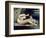 Female Nude with a Dog-Gustave Courbet-Framed Giclee Print