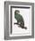 Female of the Douro-Couraou Parrot-Jacques Barraband-Framed Giclee Print