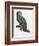 Female of the Douro-Couraou Parrot-Jacques Barraband-Framed Giclee Print