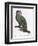 Female of the Douro-Couraou Parrot-Jacques Barraband-Framed Giclee Print