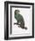 Female of the Douro-Couraou Parrot-Jacques Barraband-Framed Giclee Print