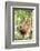 Female Orangutan (Pongo Abelii) in the Rainforest Near Bukit Lawang, Gunung Leuser National Park-Matthew Williams-Ellis-Framed Photographic Print