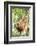 Female Orangutan (Pongo Abelii) in the Rainforest Near Bukit Lawang, Gunung Leuser National Park-Matthew Williams-Ellis-Framed Photographic Print