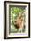 Female Orangutan (Pongo Abelii) in the Rainforest Near Bukit Lawang, Gunung Leuser National Park-Matthew Williams-Ellis-Framed Photographic Print