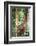 Female Orangutan (Pongo Abelii) in the Rainforest Near Bukit Lawang, Gunung Leuser National Park-Matthew Williams-Ellis-Framed Photographic Print