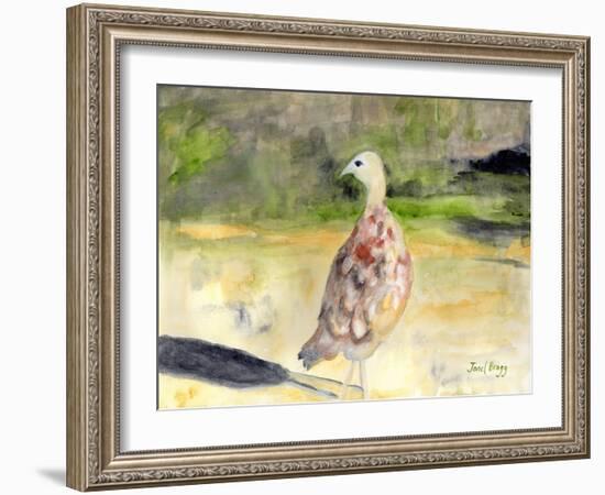 Female Pheasant, C.2016 (Watercolor and Casein on Paper)-Janel Bragg-Framed Giclee Print