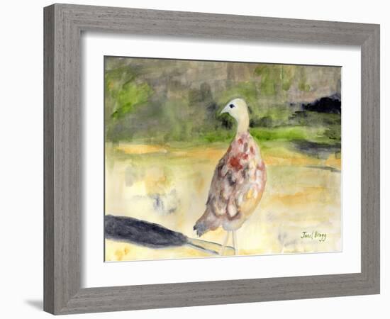 Female Pheasant, C.2016 (Watercolor and Casein on Paper)-Janel Bragg-Framed Giclee Print