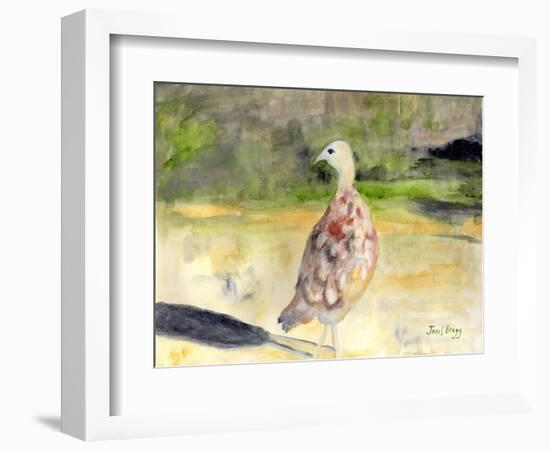 Female Pheasant, C.2016 (Watercolor and Casein on Paper)-Janel Bragg-Framed Giclee Print