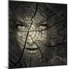 Female Portrait in a Trunk Crack Texture-Valentina Photos-Mounted Photographic Print