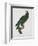 Female Puerto Rican Parrot-Jacques Barraband-Framed Giclee Print