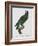 Female Puerto Rican Parrot-Jacques Barraband-Framed Giclee Print