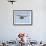 Female Red Footed Falcon (Western), Hovering in Flight, Etosha National Park, Namibia-Tony Heald-Framed Photographic Print displayed on a wall