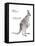 Female Red Kangaroo with Joey (Macropus Rufus), Marsupial, Mammals-Encyclopaedia Britannica-Framed Stretched Canvas