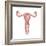 Female Reproductive Organs, Artwork-Henning Dalhoff-Framed Premium Photographic Print