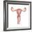 Female Reproductive Organs, Artwork-Henning Dalhoff-Framed Premium Photographic Print