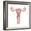 Female Reproductive Organs, Artwork-Henning Dalhoff-Framed Premium Photographic Print