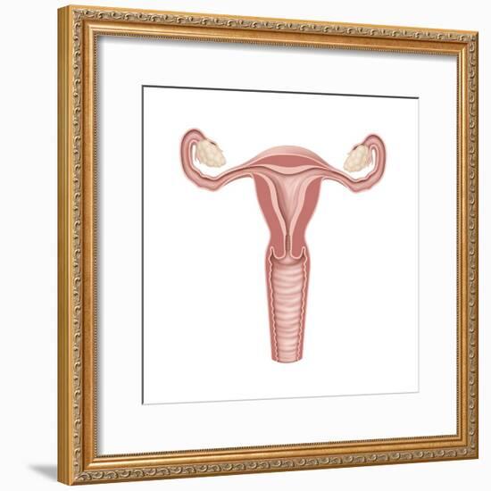 Female Reproductive Organs, Artwork-Henning Dalhoff-Framed Premium Photographic Print